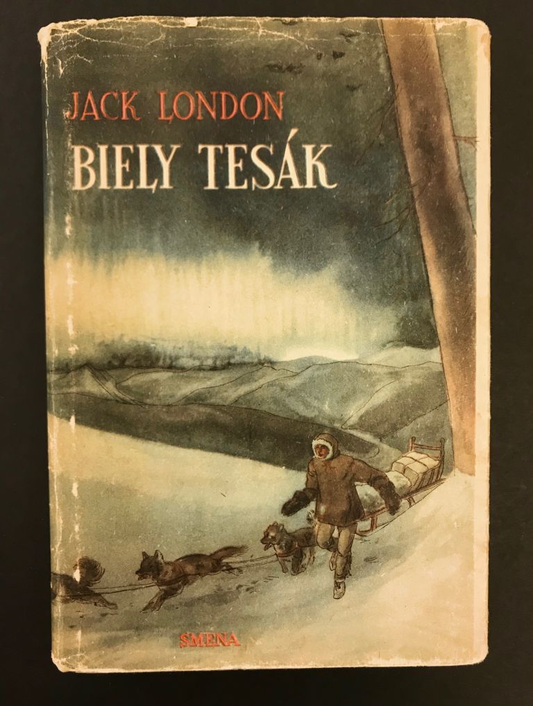 Biely tesák IMG 5987