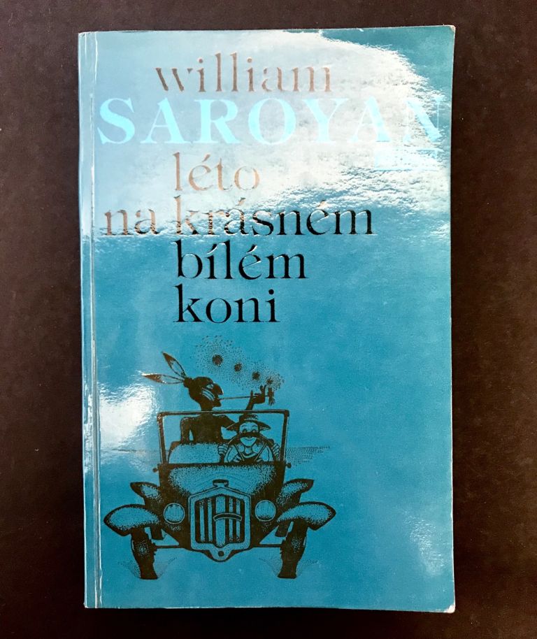 Léto na krásném bílém koni IMG 7140