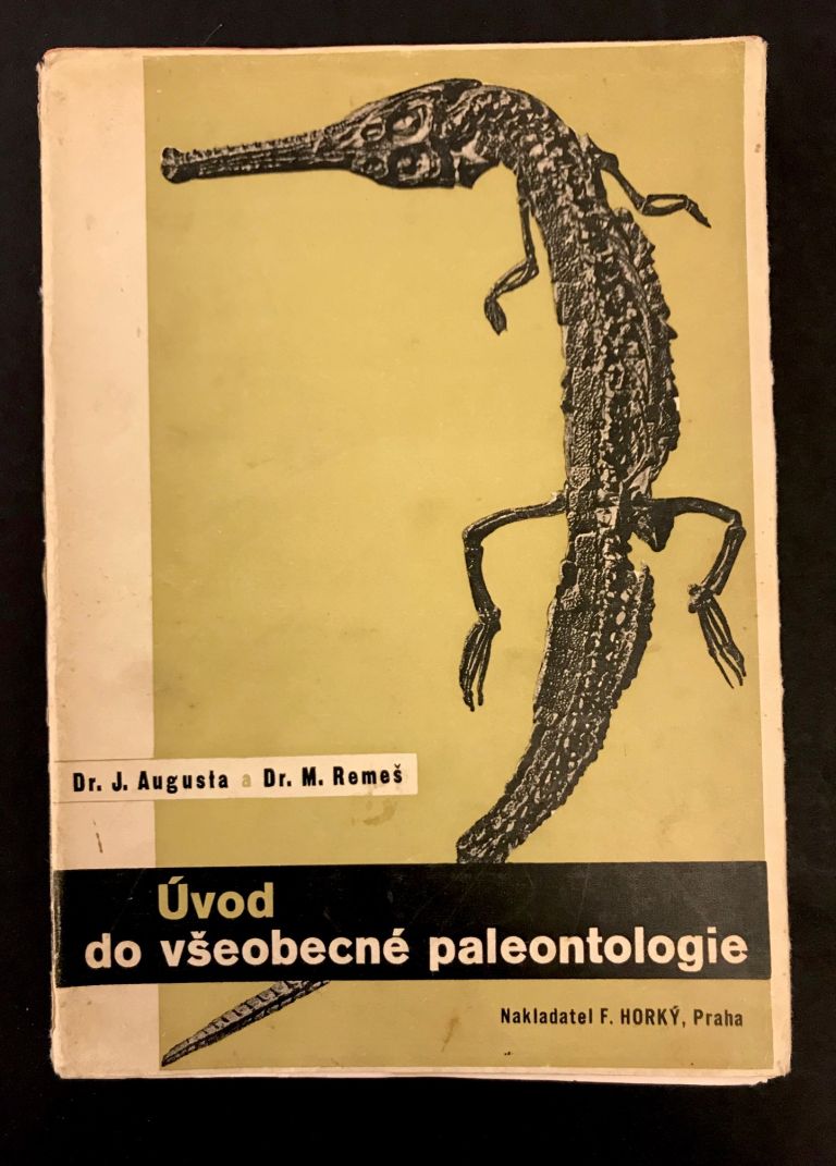 Úvod do všeobecné paleontologie IMG 7301