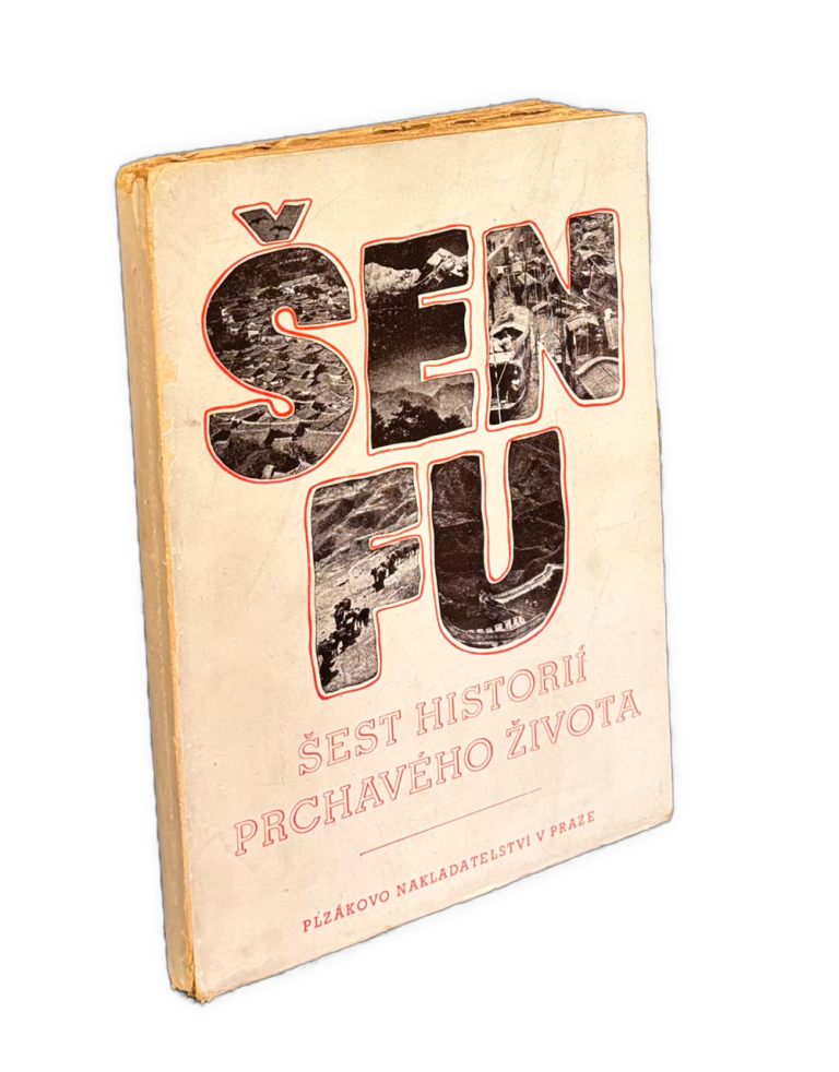 Šest histórií prchavého života - TOYEN IMG 8320