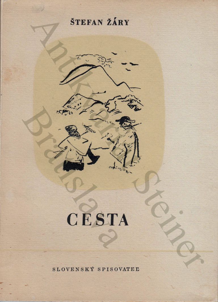 Cesta IMG 915
