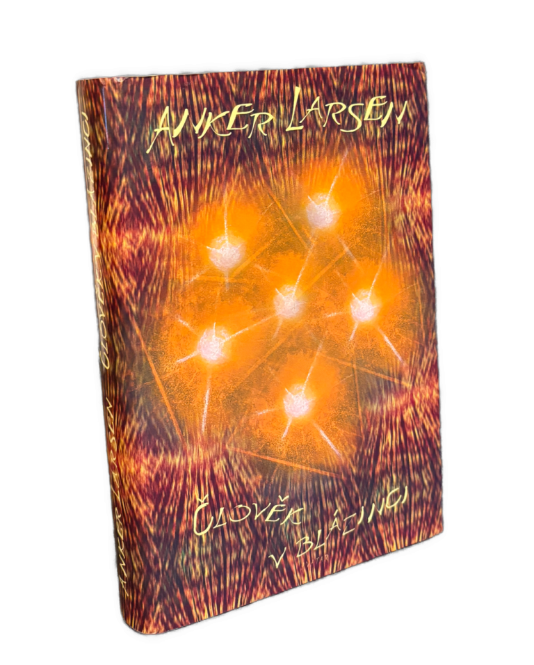 Člověk v blázinci. Román IMG 9521