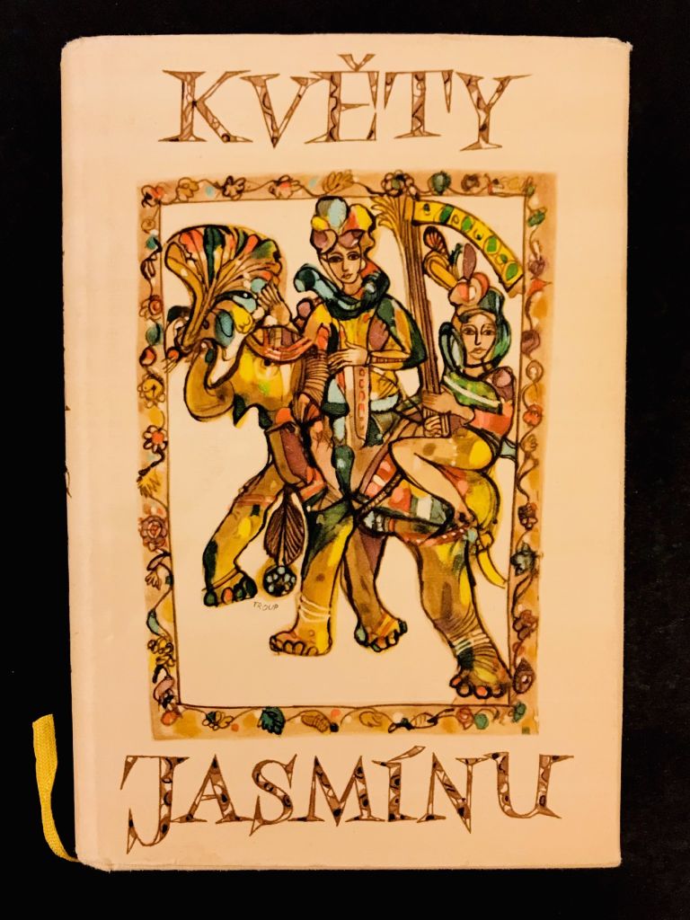 Květy jasmínu IMG 9545