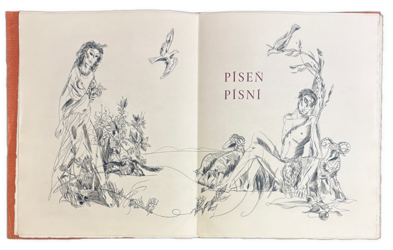 Píseň písní, píseň nejpřednejší - PODPIS ILUSTRÁTORA IMG 9916