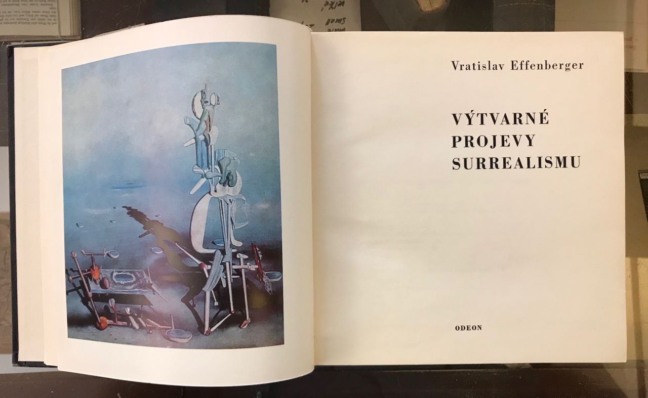 Výtvarné projevy surrealizmu IMG 9298